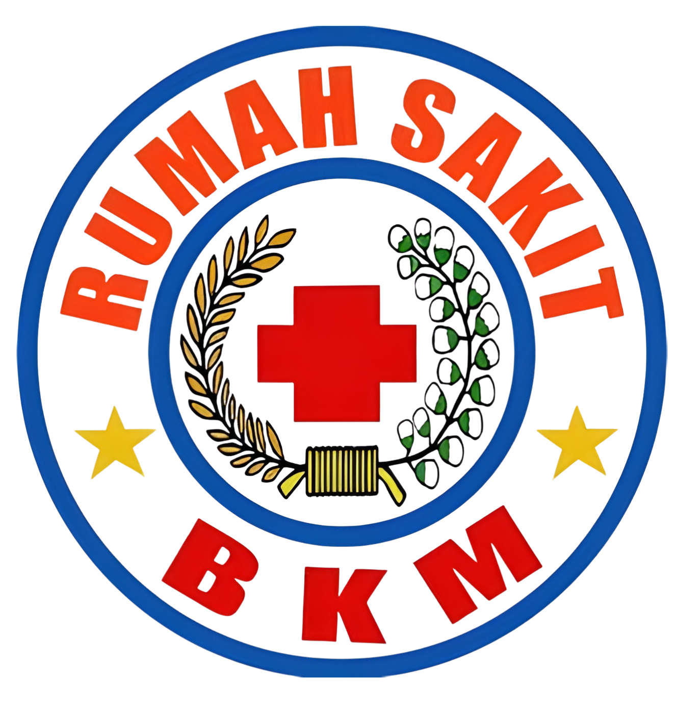 Logo RS BKM